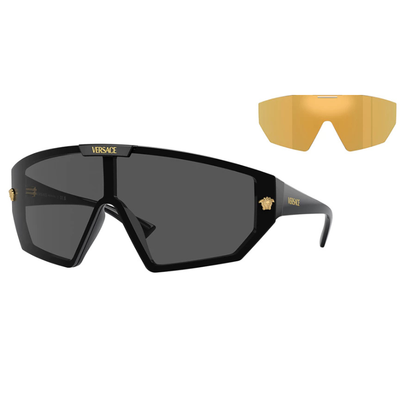 Gafas de sol Versace VE4461