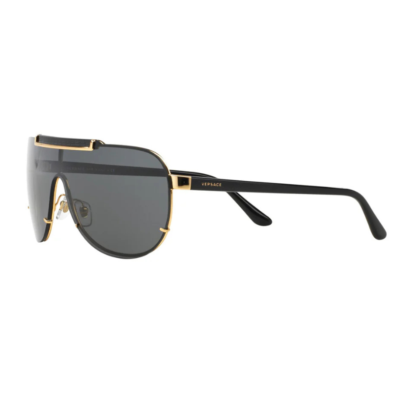 Gafas de sol Versace VE2140